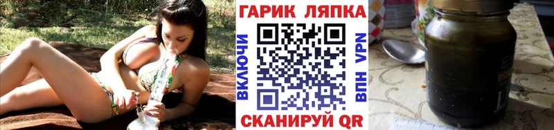 ГАШ Premium  Александровское 