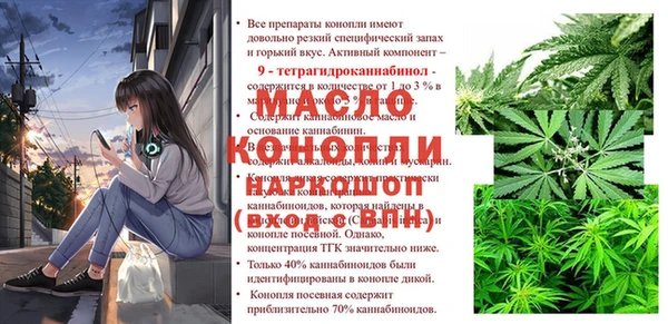 гашик Медногорск